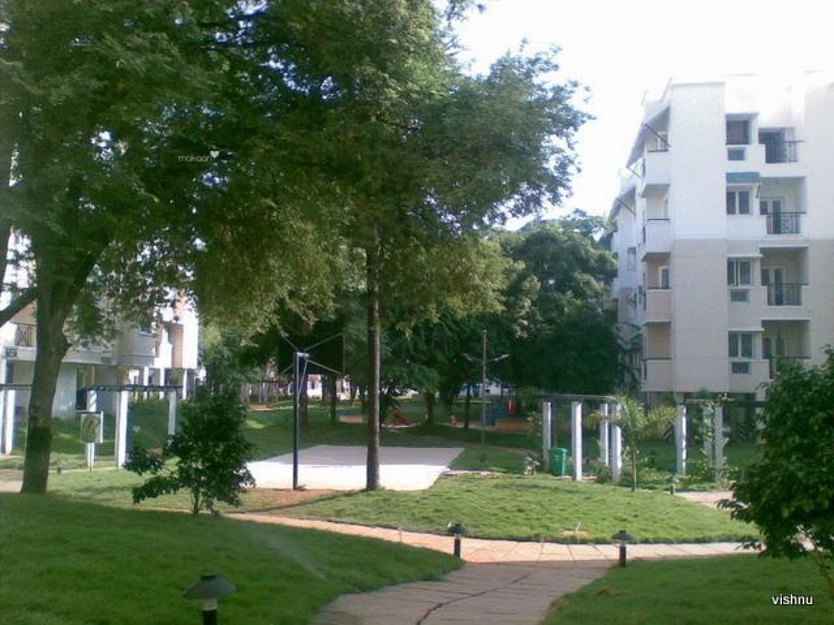 Picture of Apartment For Rent in Chennai, Tamil Nadu, India