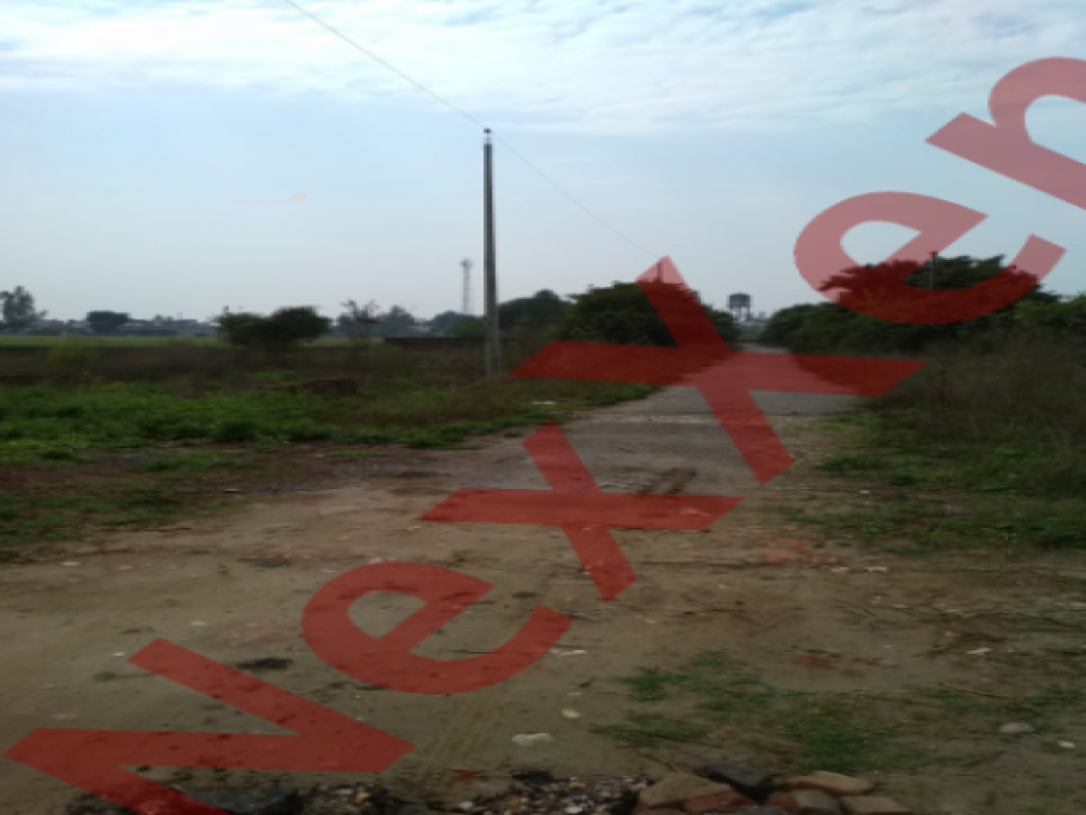 Picture of Residential Land For Sale in Patiala, Punjab, India