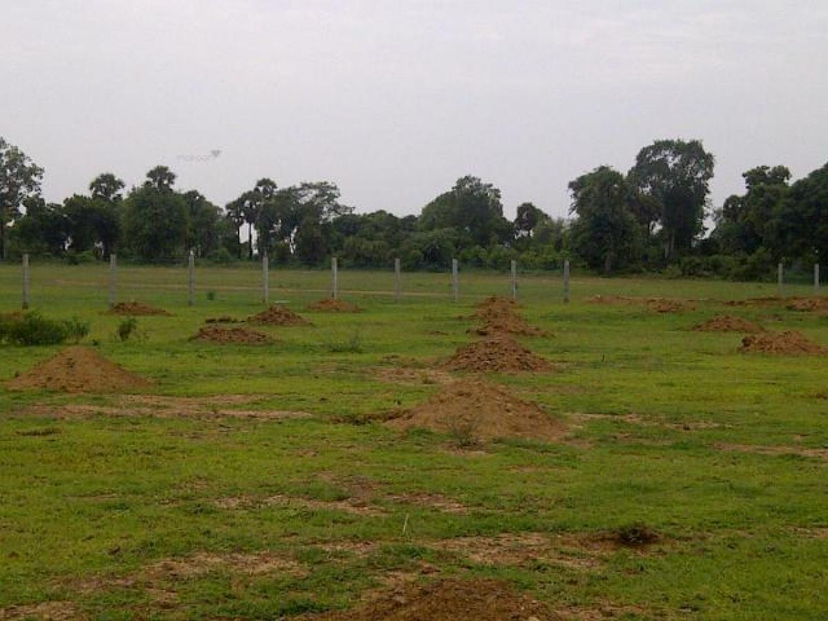 Picture of Residential Land For Sale in Vijayawada, Andhra Pradesh, India