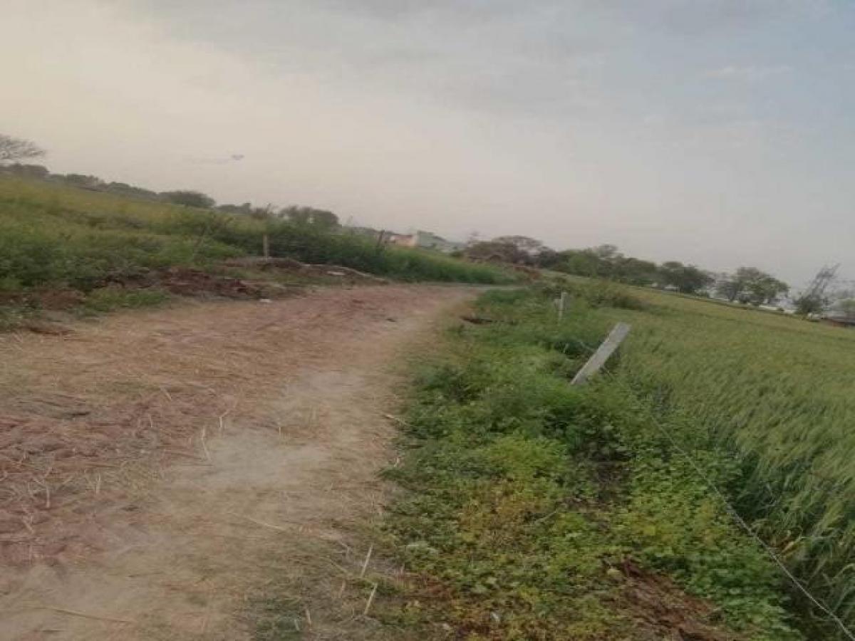 Picture of Residential Land For Sale in Ghaziabad, Uttar Pradesh, India