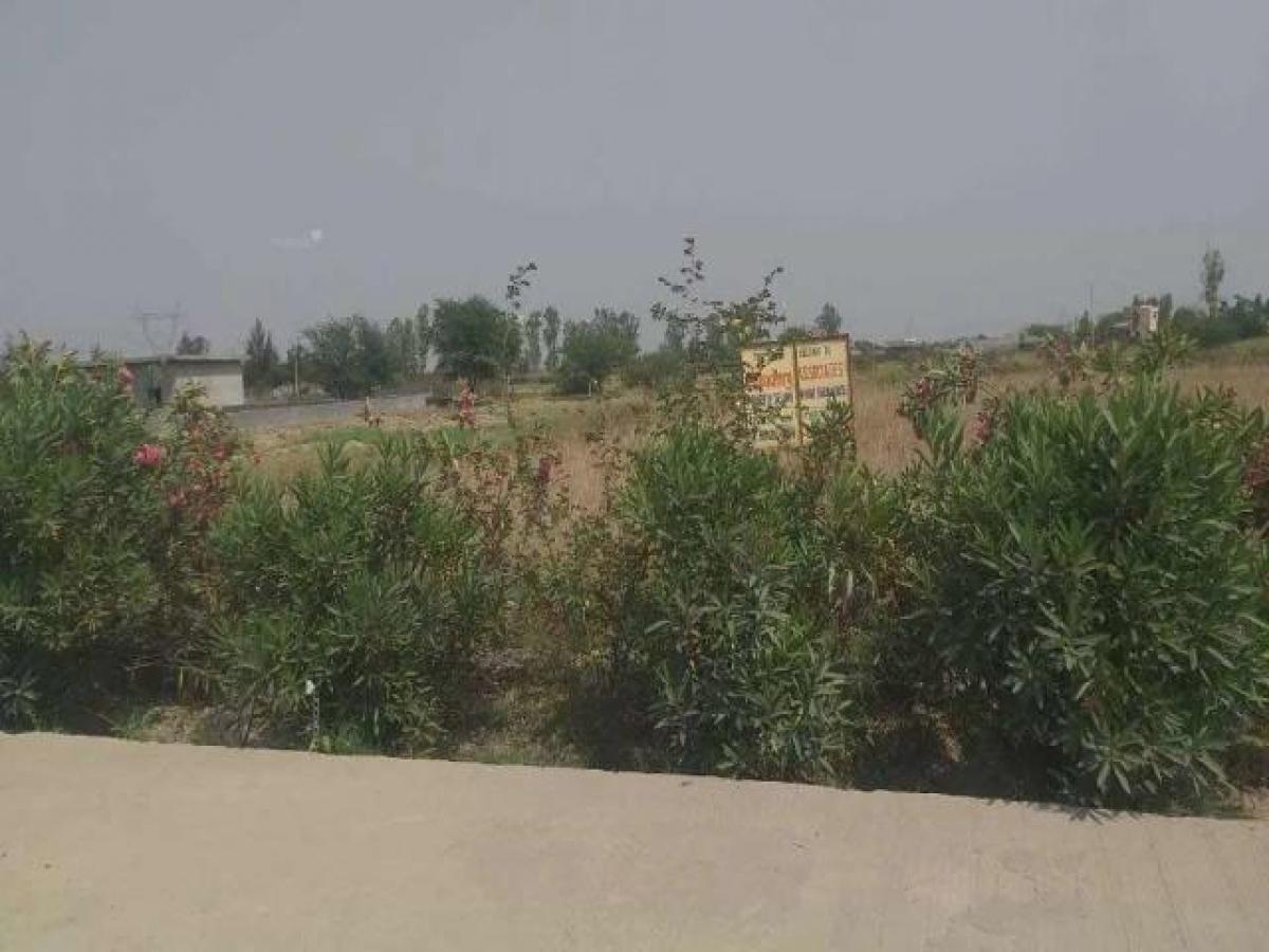 Picture of Residential Land For Sale in Ghaziabad, Uttar Pradesh, India