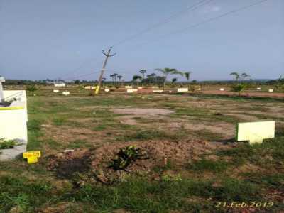 Residential Land For Sale in Vijayawada, India
