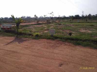 Residential Land For Sale in Vijayawada, India
