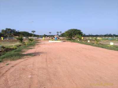 Residential Land For Sale in Vijayawada, India