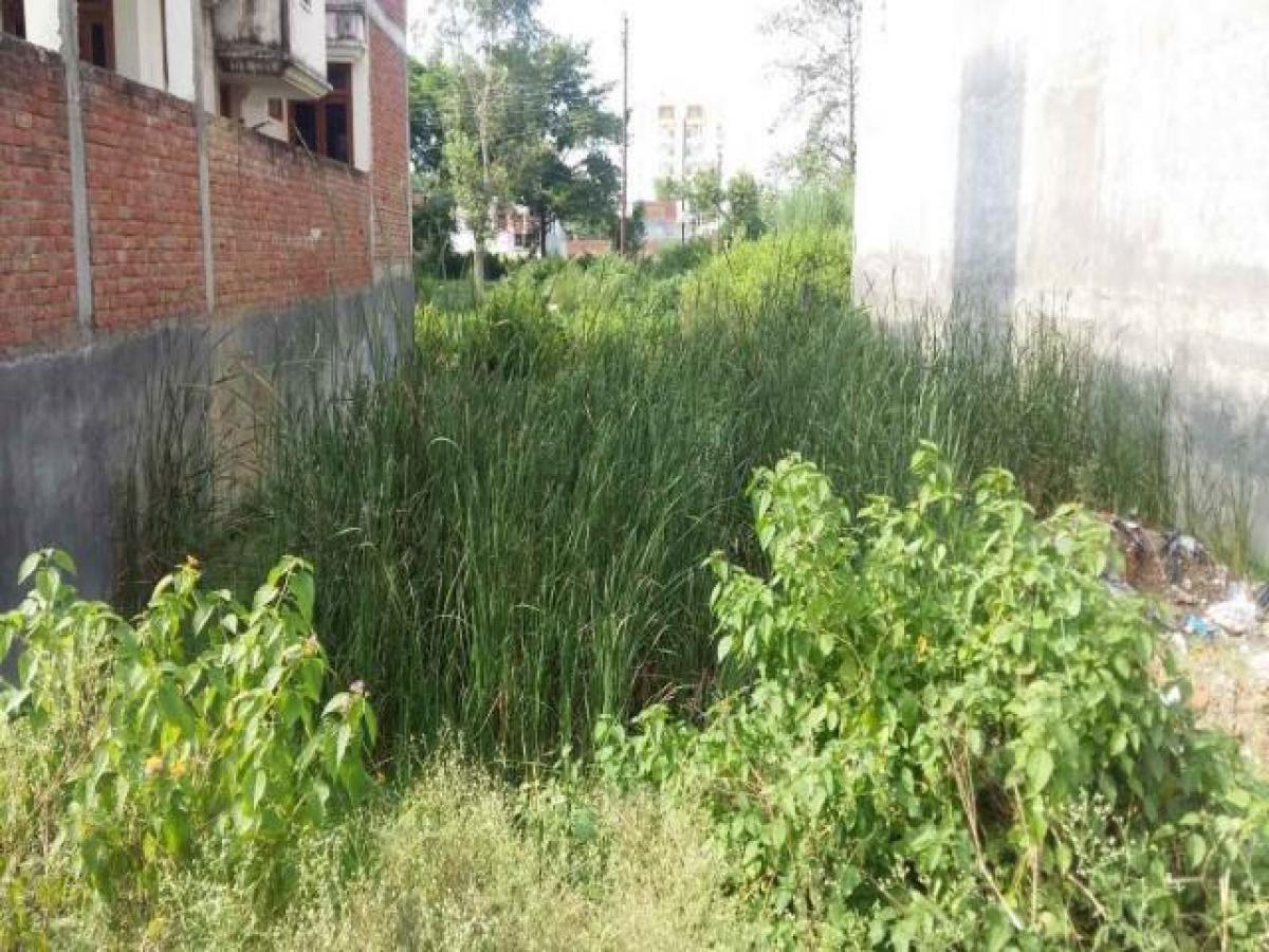 Picture of Residential Land For Sale in Varanasi, Uttar Pradesh, India