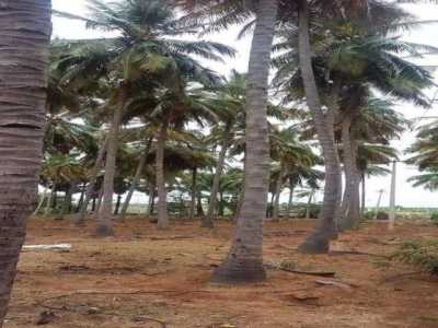 Residential Land For Sale in Madurai, India