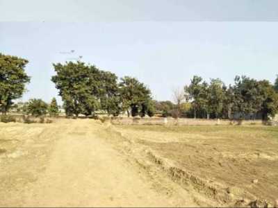 Residential Land For Sale in Rohtak, India