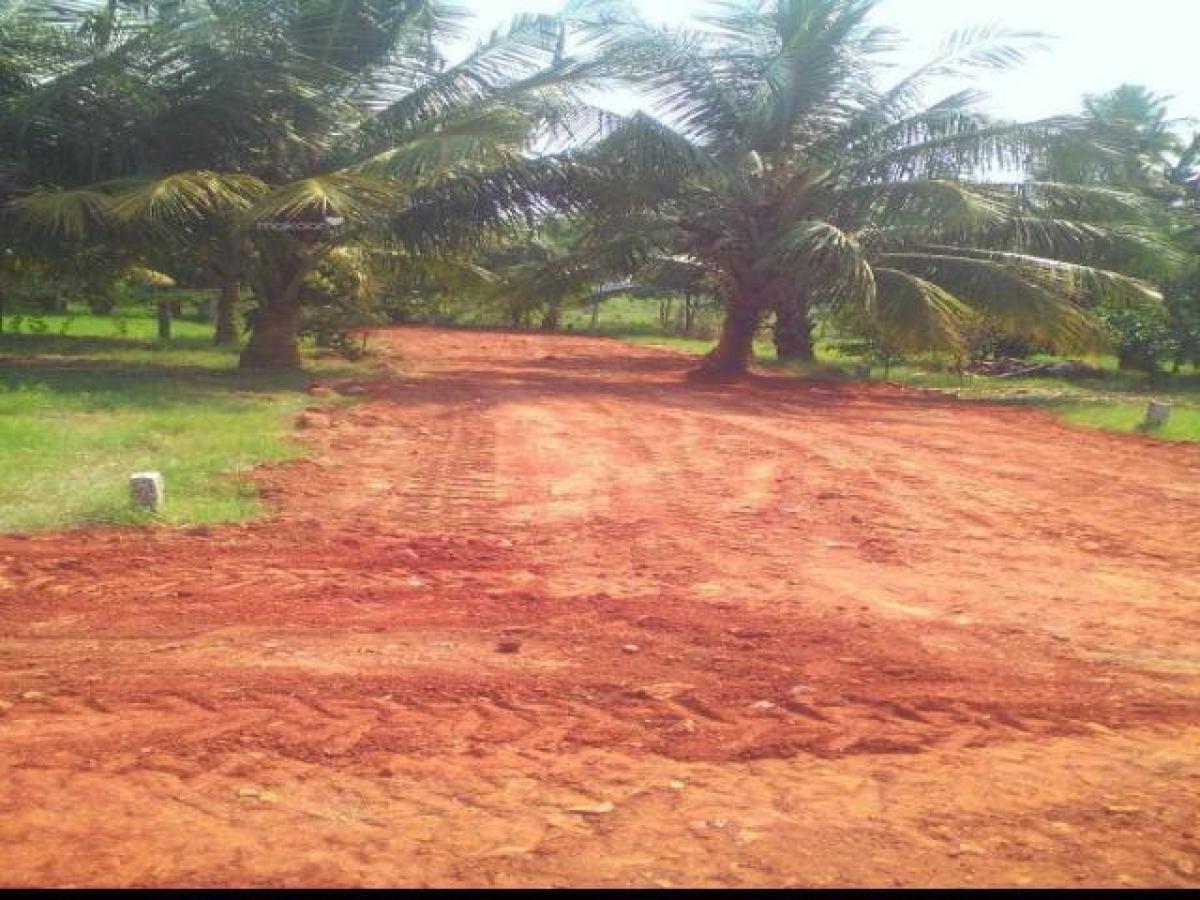 Picture of Residential Land For Sale in Madurai, Tamil Nadu, India