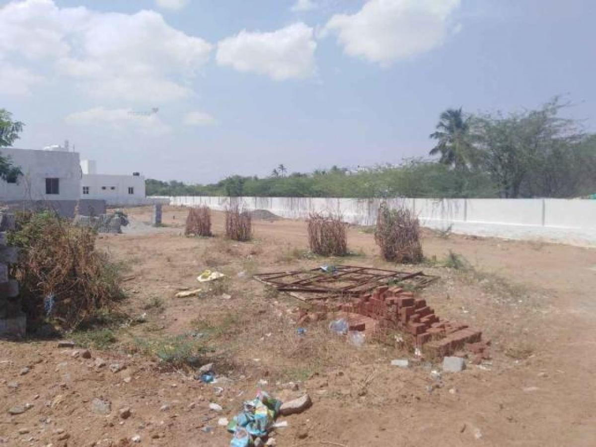 Picture of Residential Land For Sale in Tirunelveli, Tamil Nadu, India