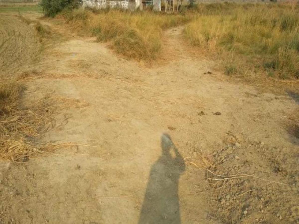 Picture of Residential Land For Sale in Aligarh, Uttar Pradesh, India