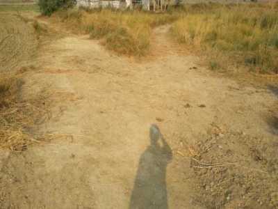 Residential Land For Sale in Aligarh, India