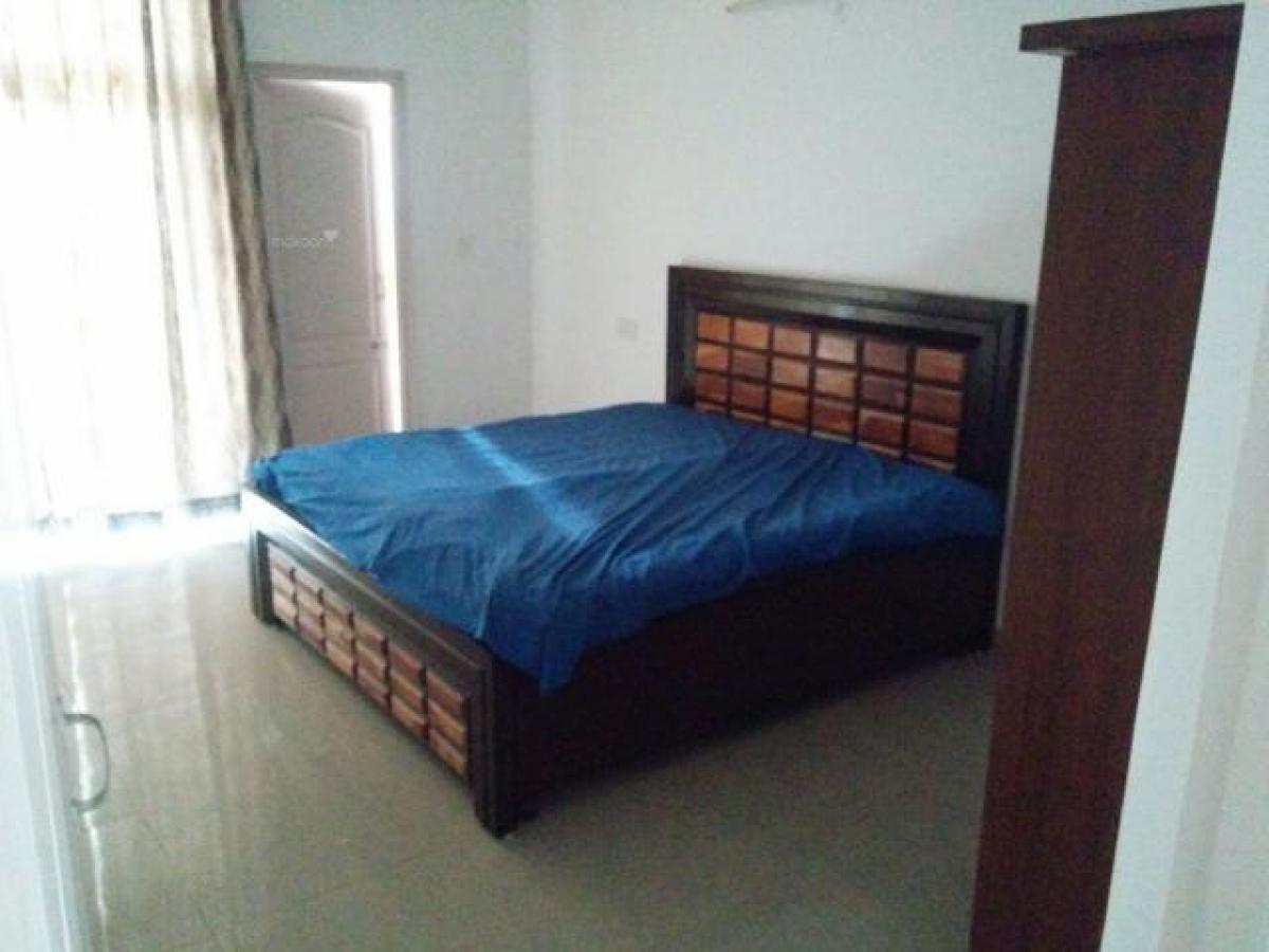 Picture of Apartment For Rent in Mohali, Punjab, India