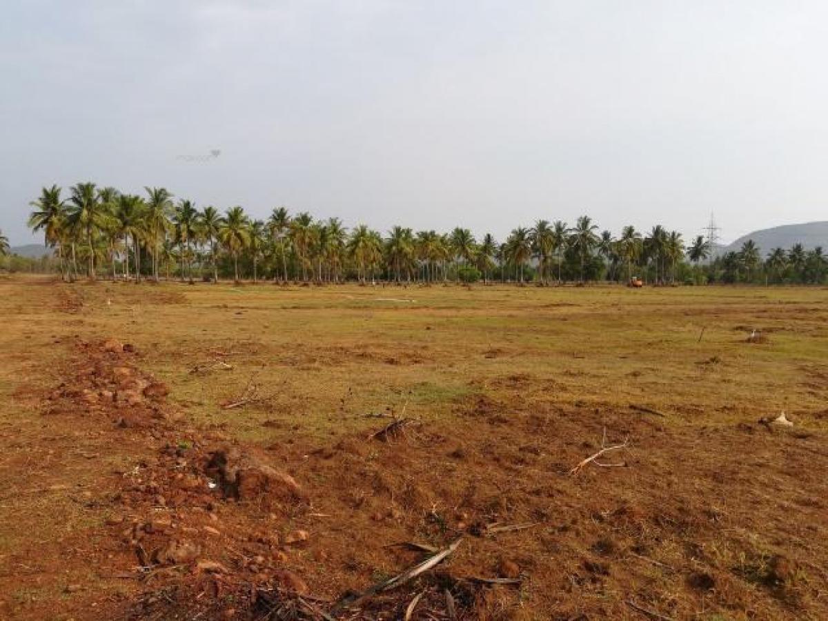 Picture of Residential Land For Sale in Vizianagaram, Andhra Pradesh, India