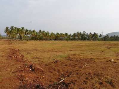 Residential Land For Sale in Vizianagaram, India