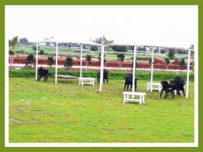 Residential Land For Sale in Aligarh, India