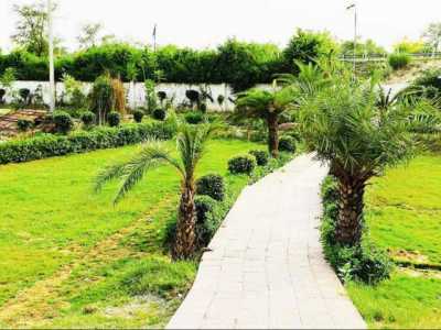 Residential Land For Sale in Aligarh, India