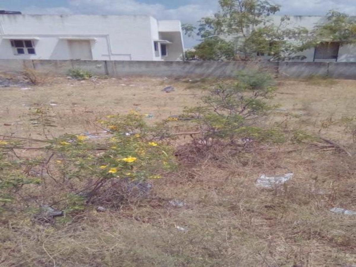 Picture of Residential Land For Sale in Tirunelveli, Tamil Nadu, India