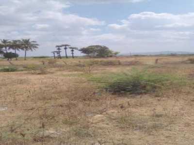Residential Land For Sale in Tirunelveli, India