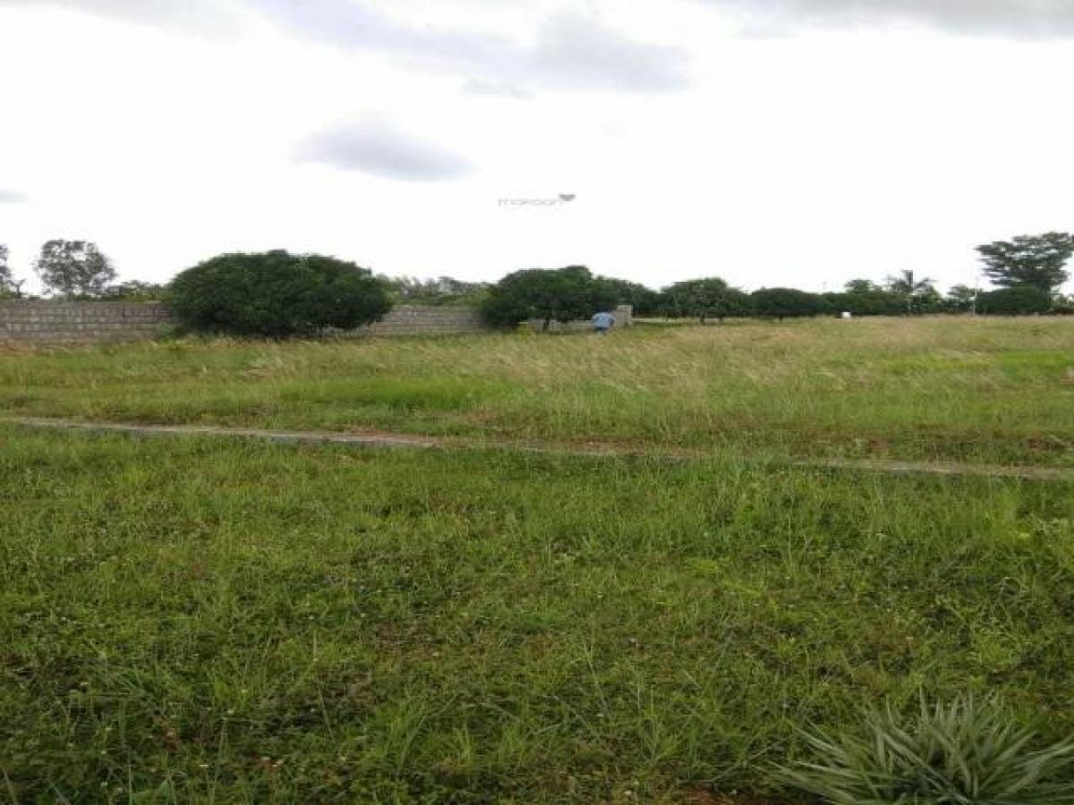 Picture of Residential Land For Sale in Coimbatore, Tamil Nadu, India