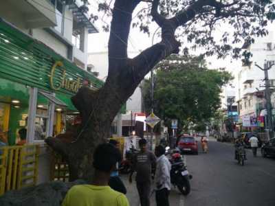 Home For Rent in Chennai, India