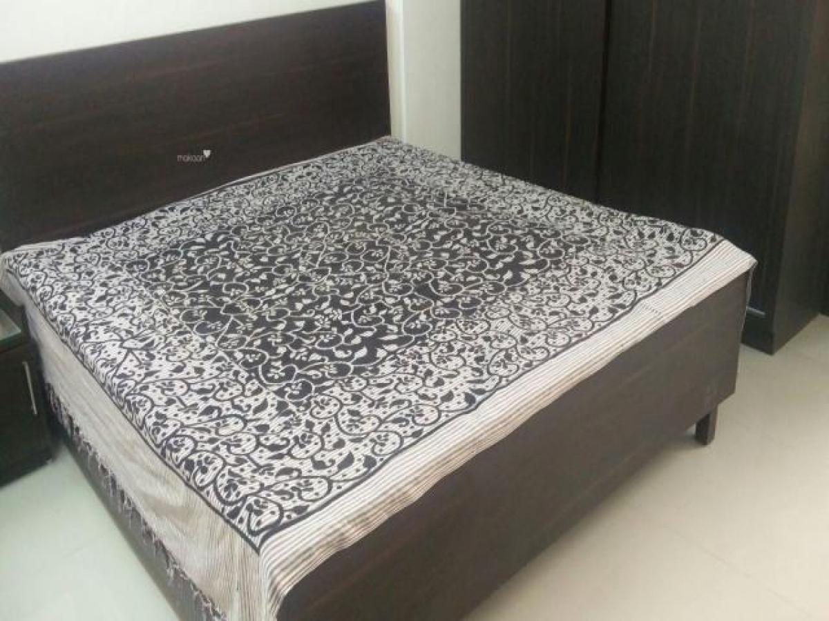 Picture of Apartment For Rent in Bhopal, Madhya Pradesh, India