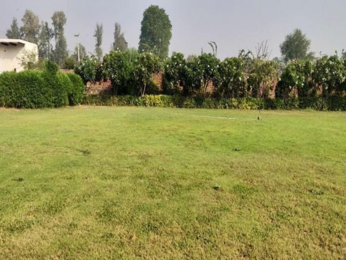 Picture of Residential Land For Sale in Gurgaon, Haryana, India