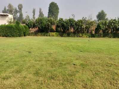 Residential Land For Sale in Gurgaon, India