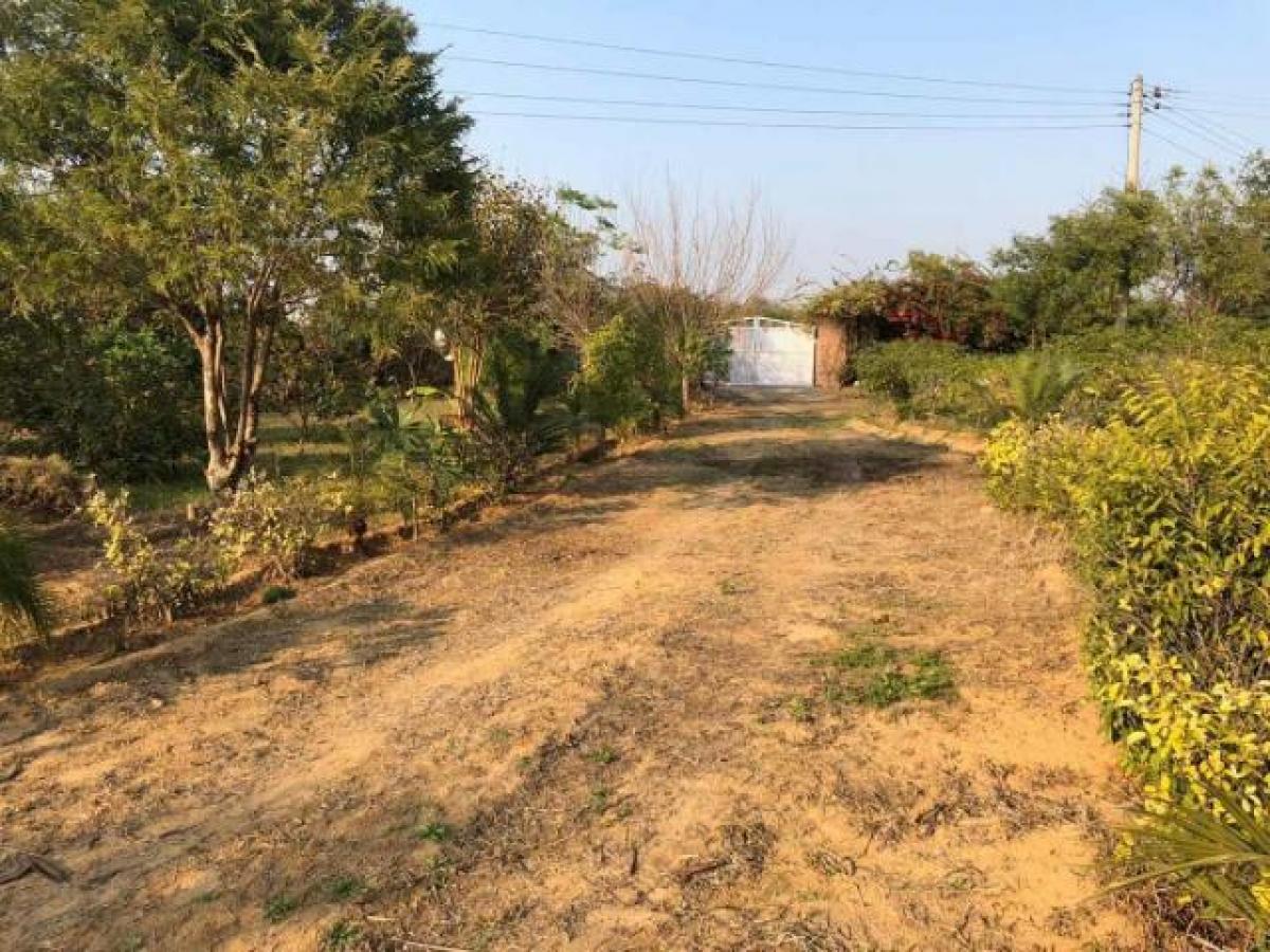 Picture of Residential Land For Sale in Gurgaon, Haryana, India