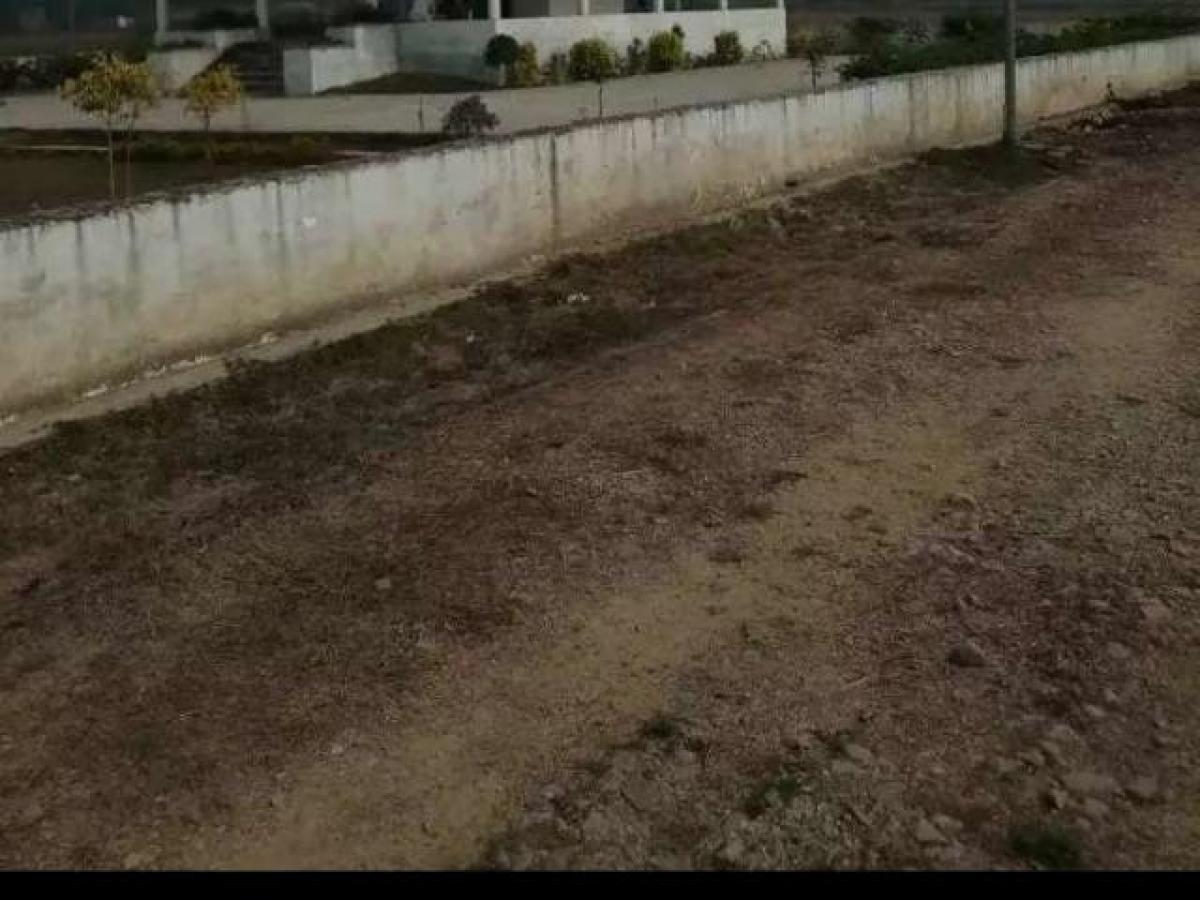 Picture of Residential Land For Sale in Kanpur, Uttar Pradesh, India