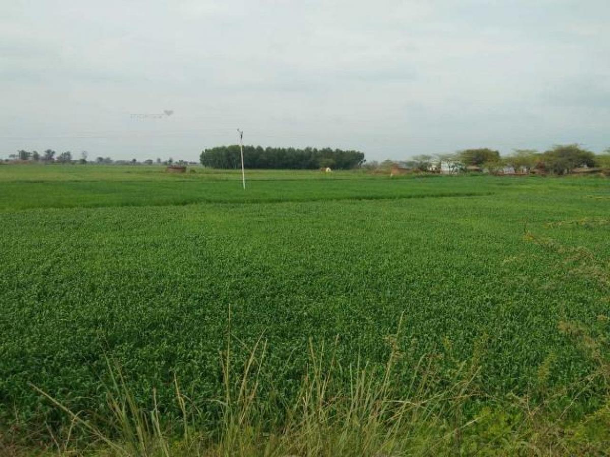 Picture of Residential Land For Sale in Bulandshahr, Uttar Pradesh, India