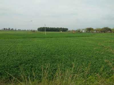Residential Land For Sale in Bulandshahr, India
