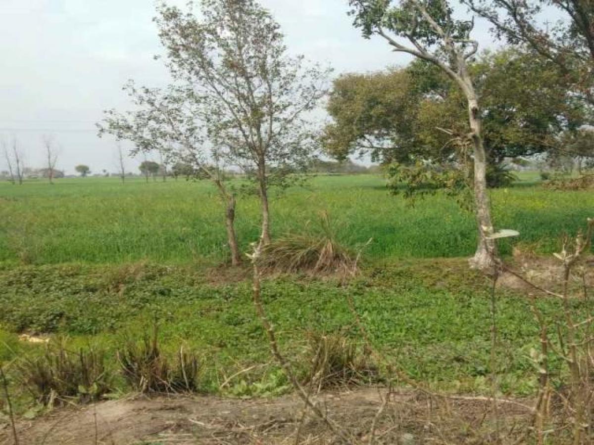 Picture of Residential Land For Sale in Bulandshahr, Uttar Pradesh, India