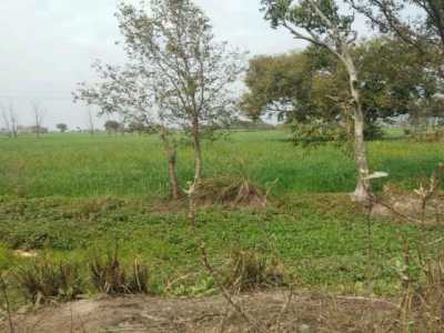 Residential Land For Sale in Bulandshahr, India