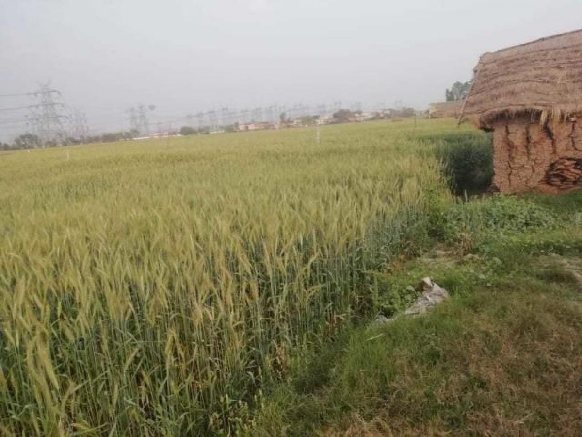 Picture of Residential Land For Sale in Aligarh, Uttar Pradesh, India