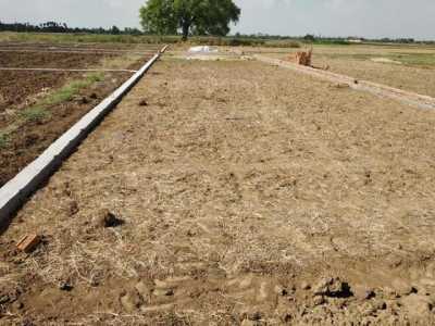 Residential Land For Sale in Patna, India