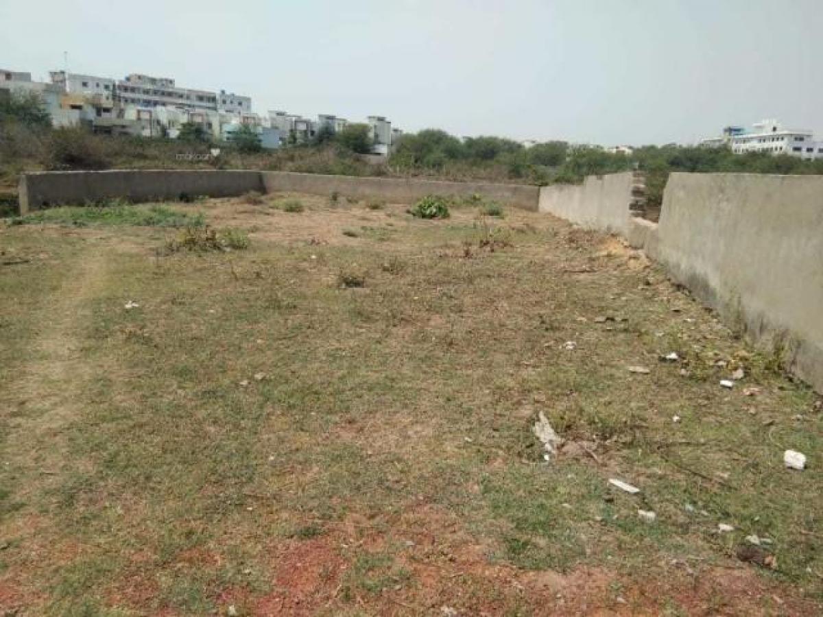 Picture of Residential Land For Sale in Bilaspur, Chhattisgarh, India