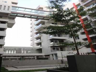 Apartment For Rent in 