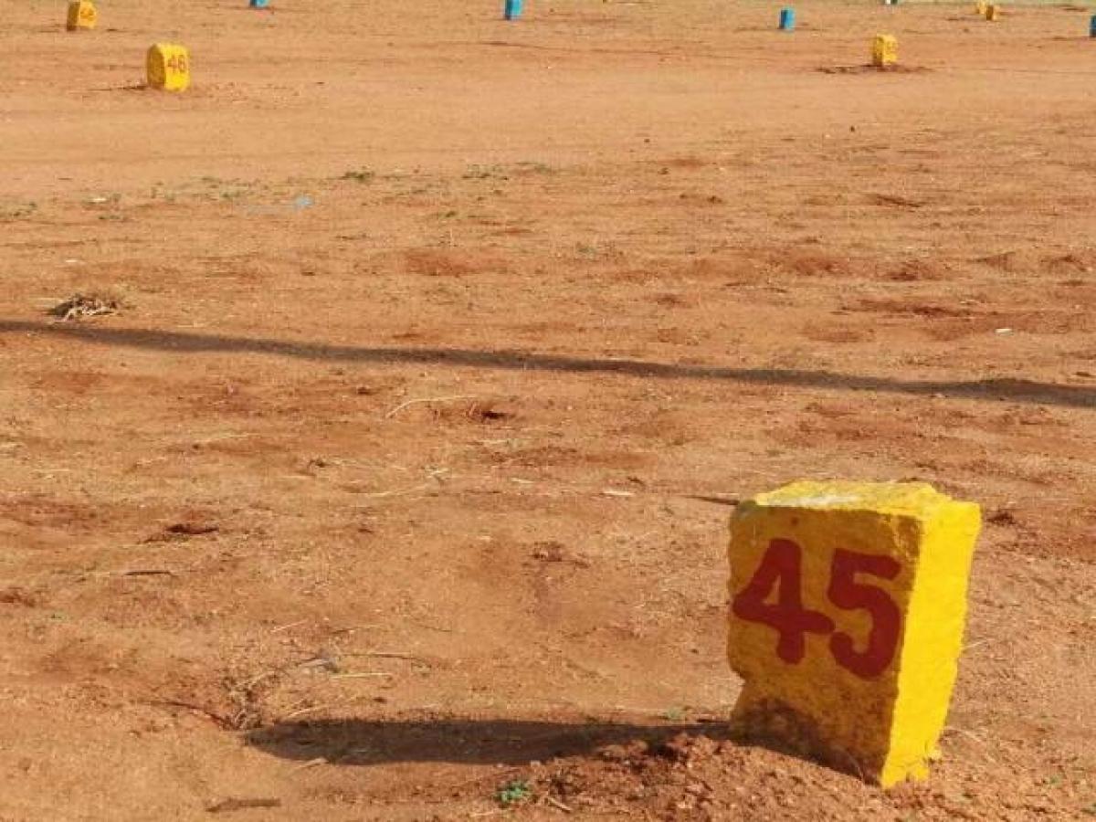 Picture of Residential Land For Sale in Dindigul, Tamil Nadu, India