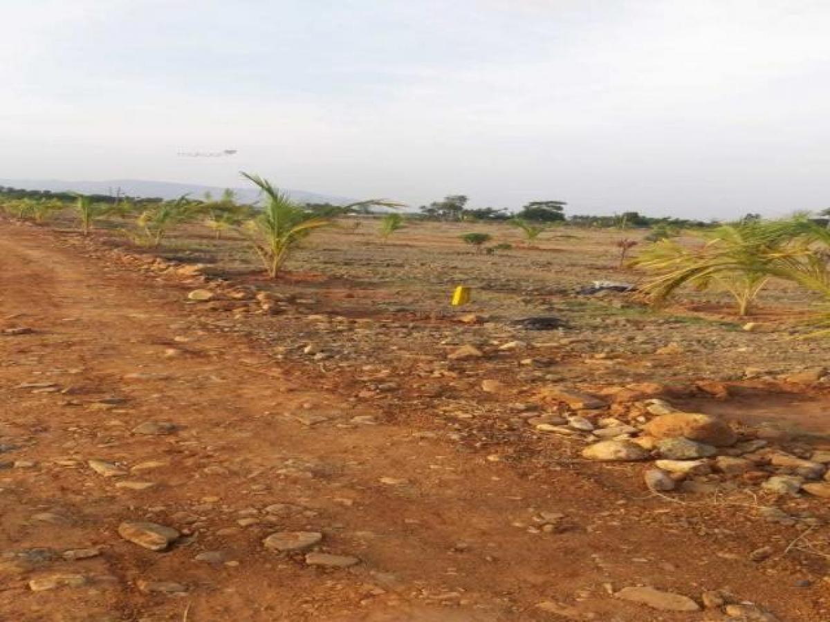 Picture of Residential Land For Sale in Tirupati, Andhra Pradesh, India