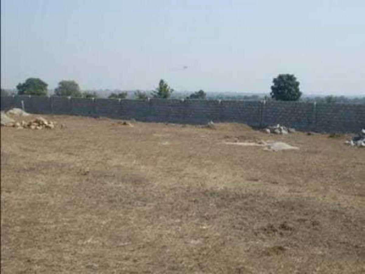 Picture of Residential Land For Sale in Bilaspur, Chhattisgarh, India
