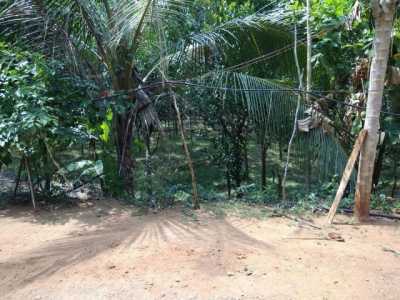 Residential Land For Sale in Thrissur, India
