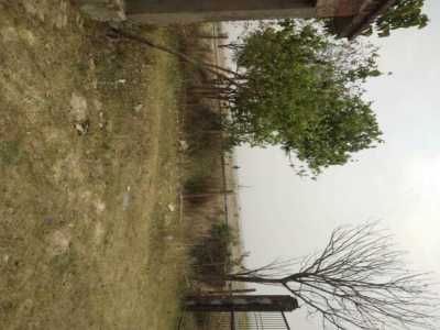 Residential Land For Sale in Allahabad, India
