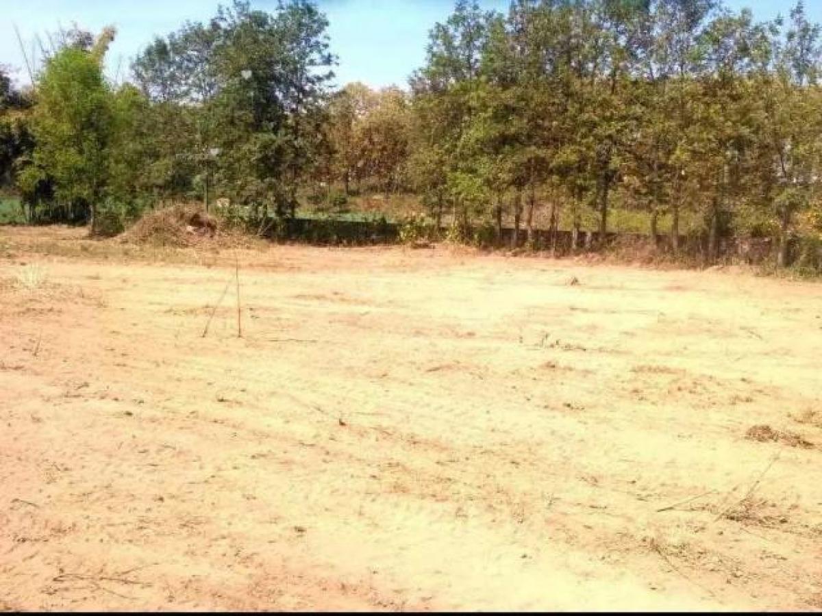 Picture of Residential Land For Sale in Dehradun, Uttarakhand, India