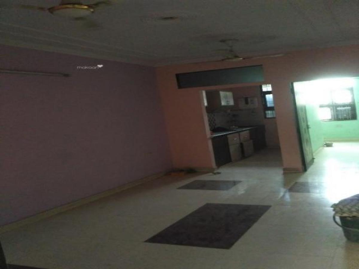 Picture of Apartment For Rent in Jaipur, Rajasthan, India