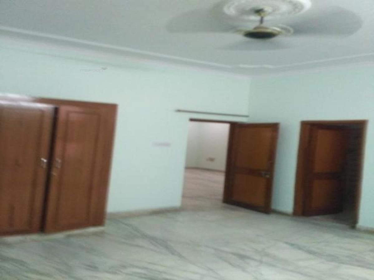 Picture of Apartment For Rent in Jaipur, Rajasthan, India