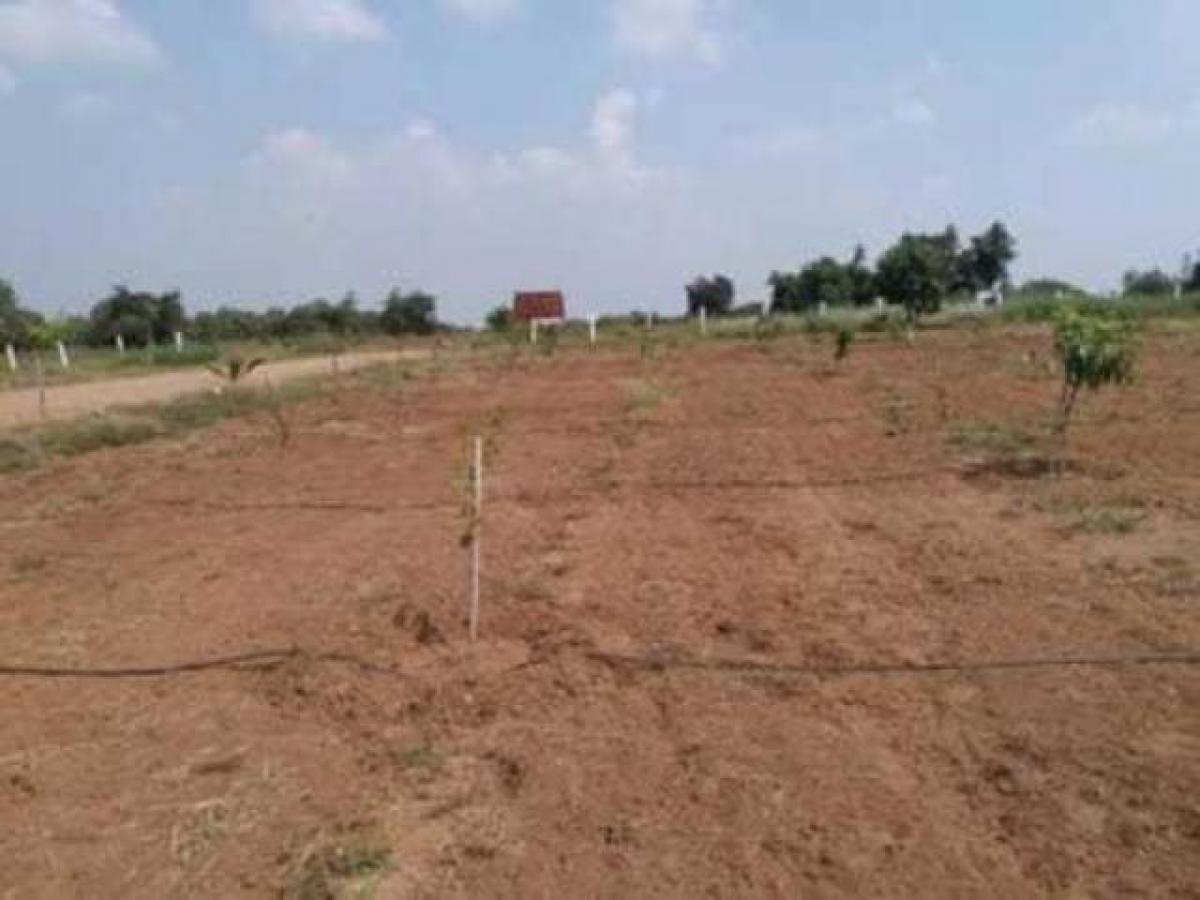 Picture of Residential Land For Sale in Bilaspur, Chhattisgarh, India