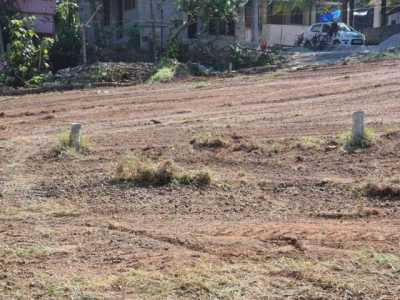 Residential Land For Sale in Palakkad, India