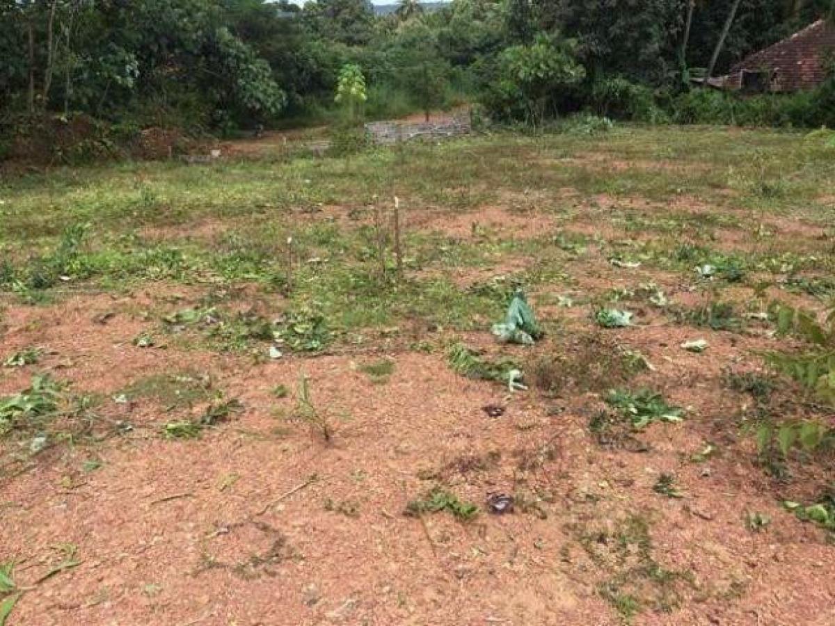 Picture of Residential Land For Sale in Palakkad, Kerala, India