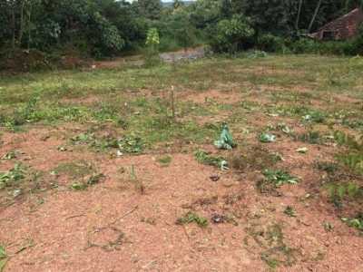Residential Land For Sale in Palakkad, India