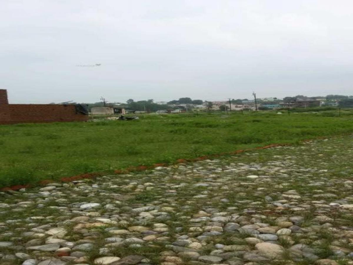 Picture of Residential Land For Sale in Dehradun, Uttarakhand, India